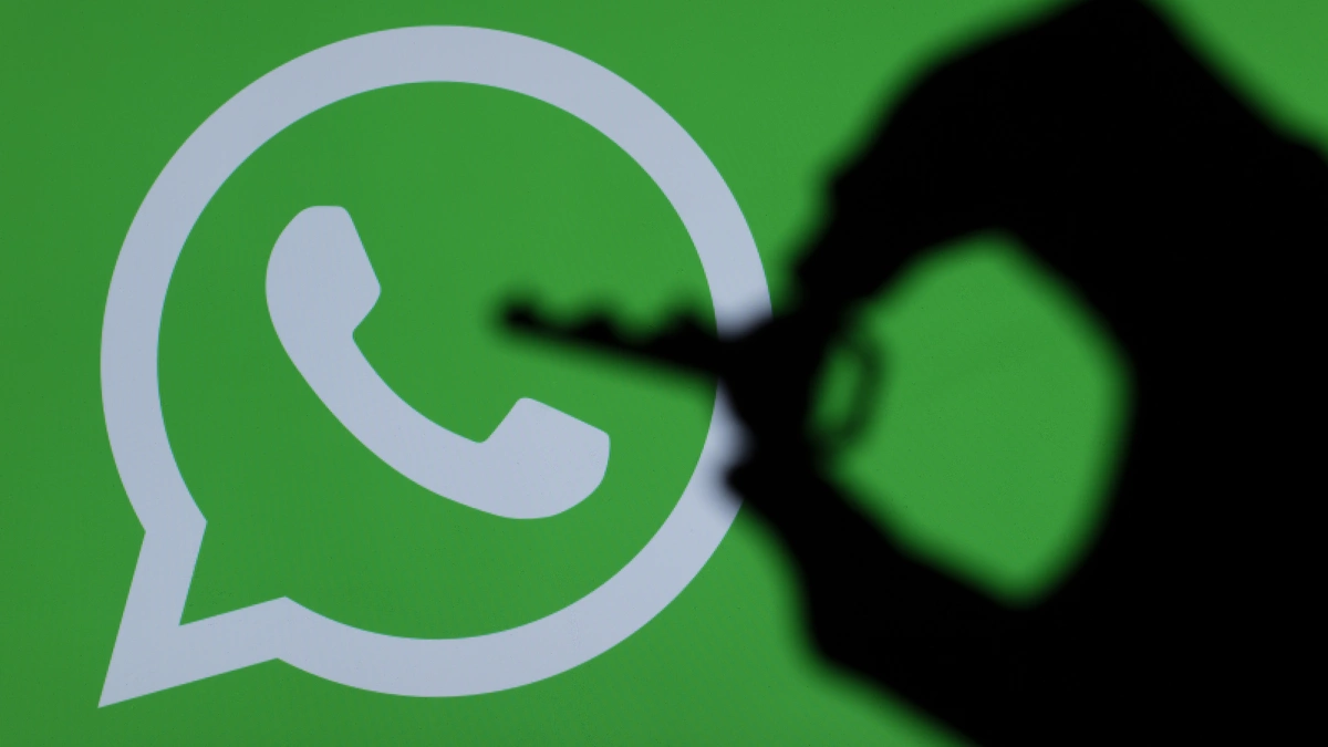 How to batch check for WhatsApp Business activated phone numbers? Complete the screening task in 3 steps